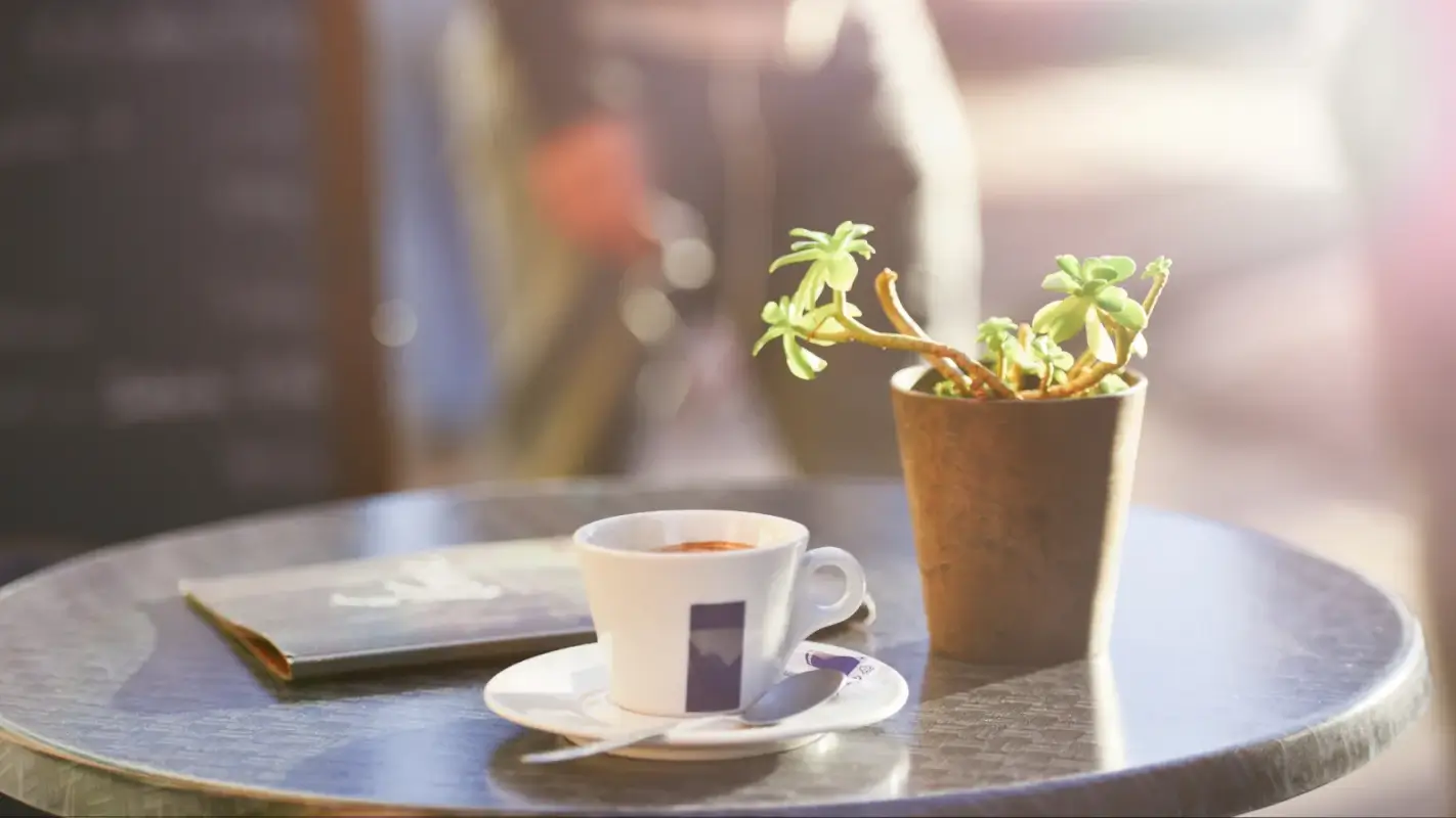Slow Morning is a Beauty Not to Miss